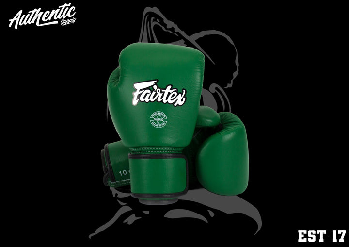 Fairtex | Boxing Gloves | Velcro BGV16 | AMTS