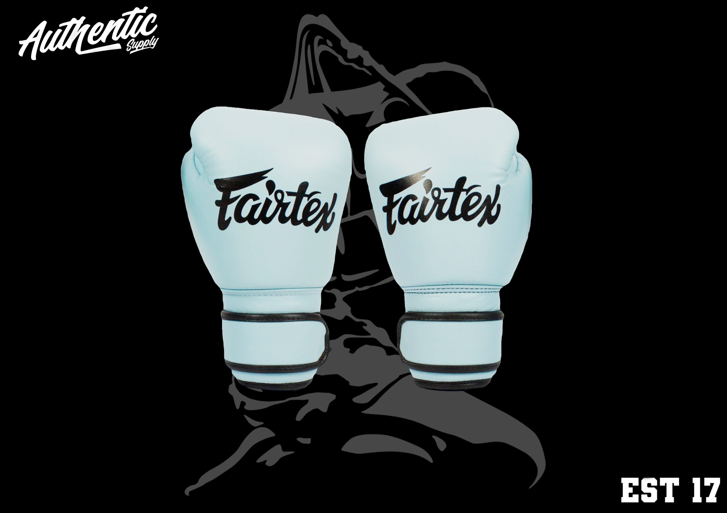 I*G様 Fairtex BGV20 ボクシンググローブ8oz Fairtex | Boxing Gloves | Leather Pastel Blue | BGV20 | AMTS