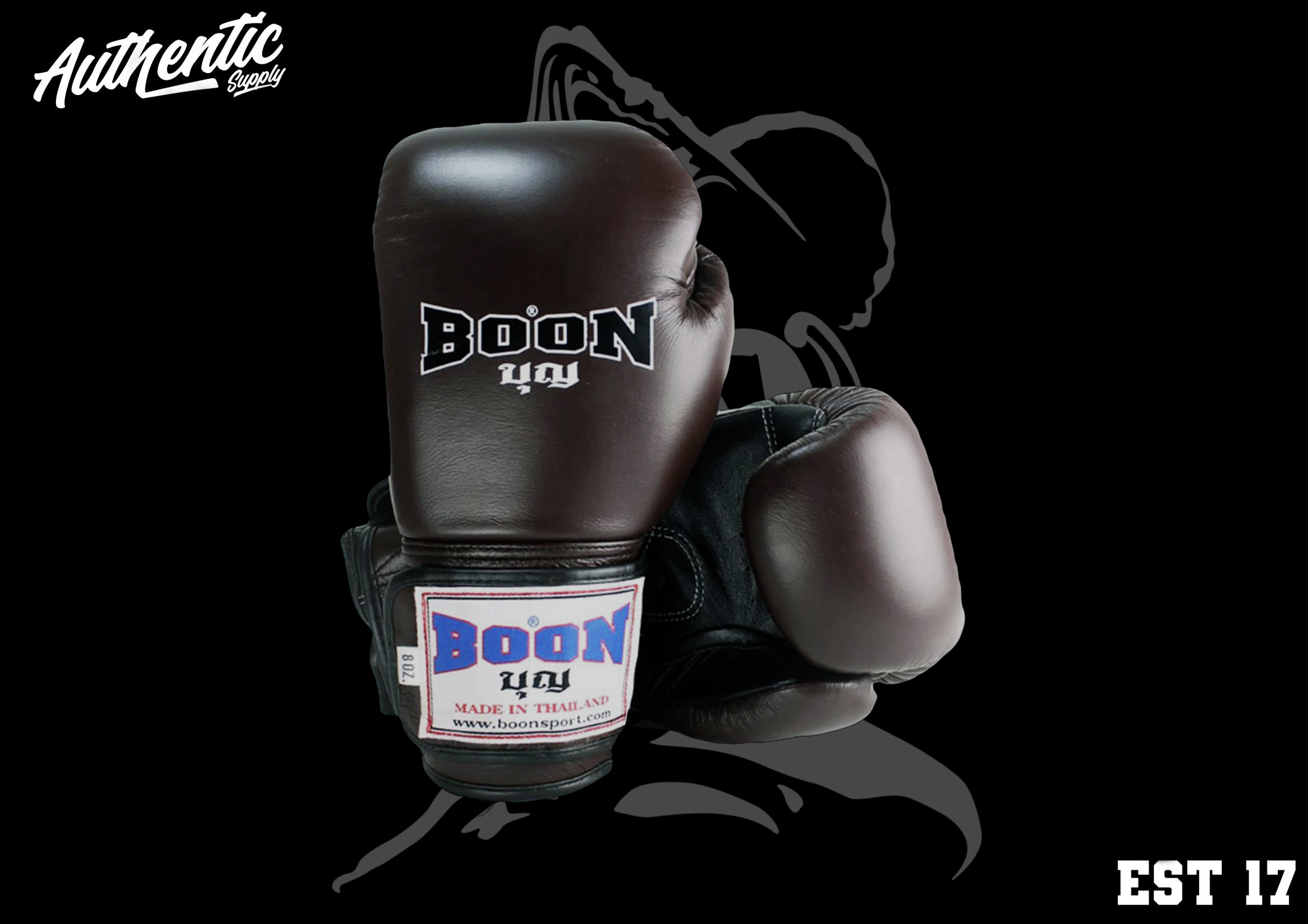 Boon Sports | Velcro Classic Boxing Gloves | AMTS